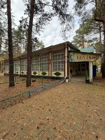 Продажа действующего детского оздоровительного лагеря в Полтавской области, пгт Новые Санжары 6 га