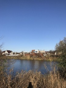 дом у озера, Глеваха, Мархалевка с мебелью, видовой
