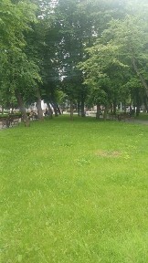 Здам квартиру в Кременчуці