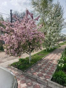 Продам Дом в престижном р-не Черемушки н. к Украина