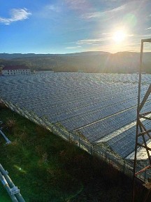 Продам Тепличний Комбінат в Івано-Франківській області