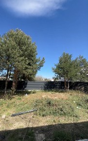 Продаж окремостоячого будинку в Бірках з соснами 6 соток