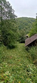 Продаж 3-х кімнатного будинку, в с. Віженка (Вижницький р-н).
