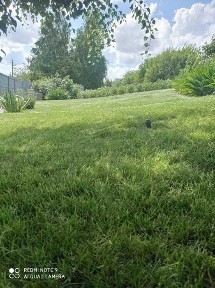 Продам будинок с. Барахти