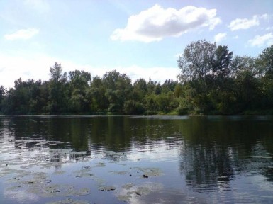 Киевская обл., Вышгородский район, с. Хотяновка, Ст Азарт ул.