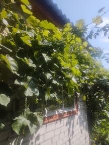 Продаж частини будинку в м. Сміла