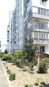 Миколаївська область, Миколаїв, Центральний