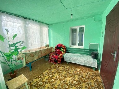 Київська область, Дрозди