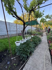 Продам будинок на Слобідці