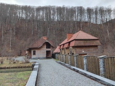 Ціну різко знижено! Маєток у горах Карпат с Вовчий Закарпатської облас