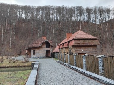 Закарпатська область, Вовчий