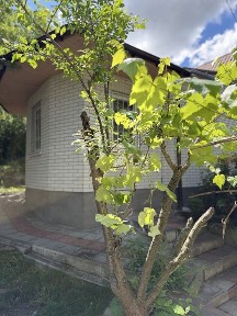 Дача з газом 66 м² на 8 сотках зі всіма зручностями