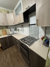 Здається 1 кімнатна на Народицькій.