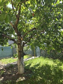 Аренда дома 65 м², Котляревского ул.