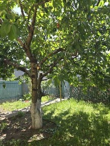 Одеса, Котляревского вул.