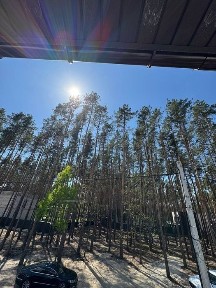 Київська область, Київ, Дарницький