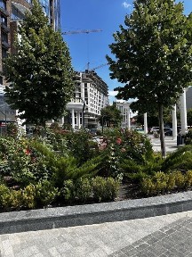 Київська область, Київ, Шевченківський