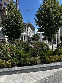 Оренда Без % Шевченківський район Podil Plaza & Residence 349 м2
