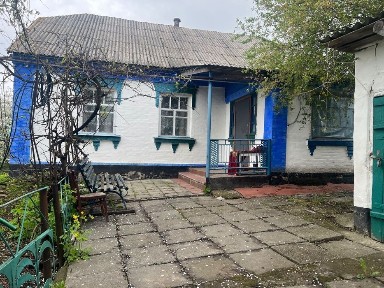 Київська область, Дрозди