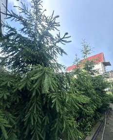 Будинок біля МОРЯ 10 соток + гостьовий дім. Всі міські комунікації. ГАЗ ‼️ ДЕРЖ. ПРОГРАМИ