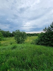 Полтавська область, Патлаївка