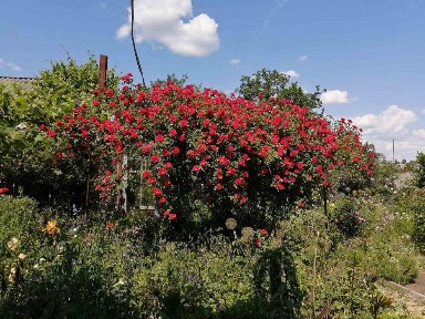 Кіровоградська область, Кропивницький, Подільський