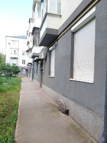 Дніпропетровська область, Кривий Ріг, Саксаганський