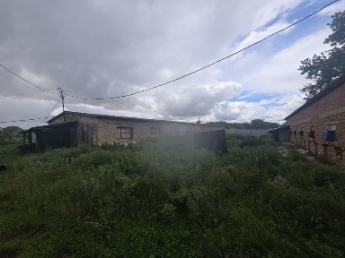 Київська область, Бориспіль