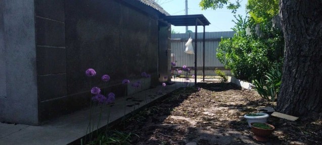 Одеська область, Одеса, Хаджибейський