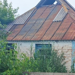 Київська область, Лосятин