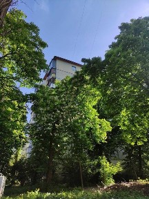 Київська область, Київ, Солом'янський