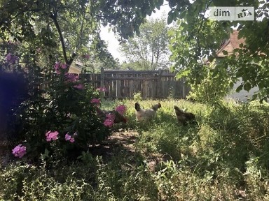 Продаж 1 поверхового будинку з ділянкою на 30 соток, 80 кв. м, 4 кімнати, на Грушева • ID 34145947