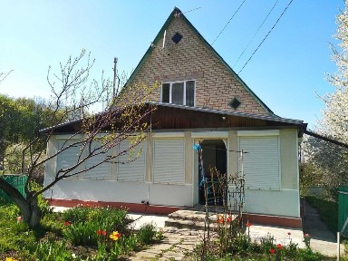 Будинок з великою ділянкою біля лісу