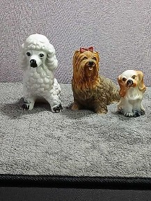 коллекция собачат.