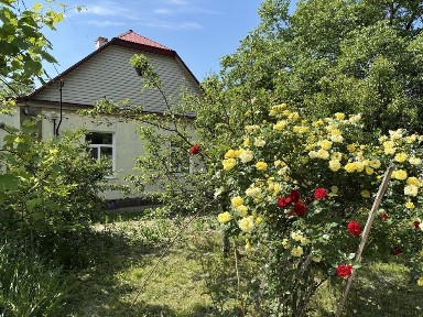 Полтавська область, Полтава