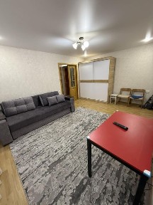 Оренда 1 кімнатної квартири в центрі міста вільна з 22.06