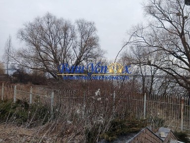 Київська область, Козин