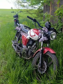 Alpha rx forte 125