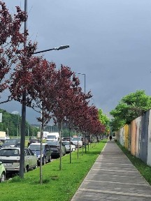 Здам 1-кімн. квартиру Голосіївський р-н ЖК Svitlo Park
