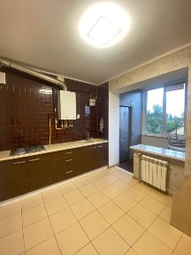 Оренда 1 к. квартири з ремонтом. Газ. Центральний парк, вулиця Лісова