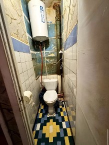 Жуль Верна, борщагіака