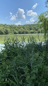 Київська область, Красна Слобідка