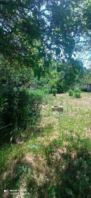 Продам дачу, місцерозташування :, Сухий яр
