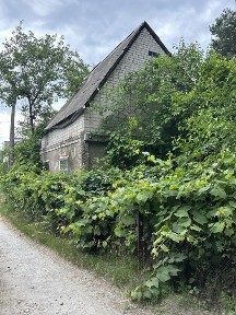Дача під самим лісом