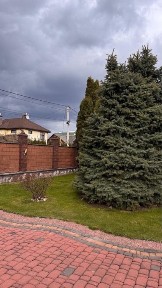 Рівненська область, Рівне