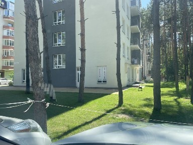 Київська область, Проліски