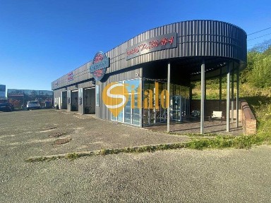 Київська область, Лісники