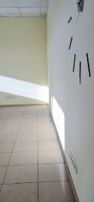 Харківська область, Харків, Шевченківський
