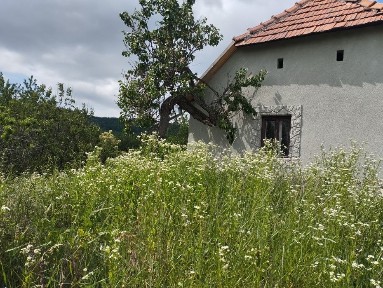 Продам дом Закарпатье Мужиево