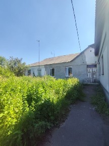 Житомирська область, Житомир, Польова